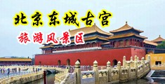 黑人美女干鸡巴中国北京-东城古宫旅游风景区